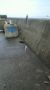 2014-07-17-kai22DCIM0015