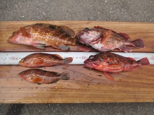 20148-18vbnhtyu 003h