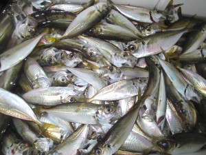 20148-21bvcfghj 001n