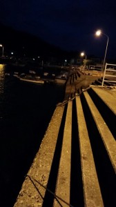 IMG_20140803_194659ma-3