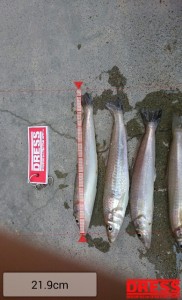 dress_20140812_134201