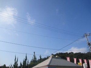 2014-09-02-t2IMG_1771