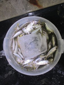 20149-3oyuijhu 006nhjk