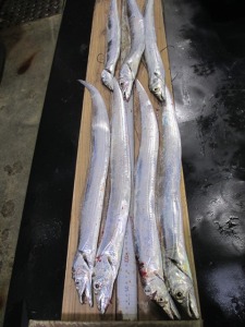 201410-16polpids 004df