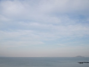 201410-16polpids 007asd