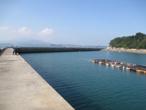 201410-17ofl 011wrbn