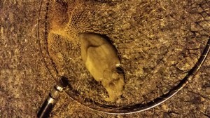 IMG_20141003_200316M02