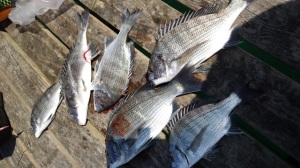 IMG_20141014_125710M01