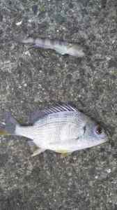 !cid_01@141115_132226@______F01B@docomo_ne