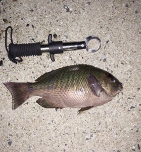 IMG_20141109_193616mm02