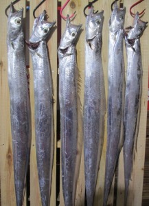 2014-12-01-sino02008