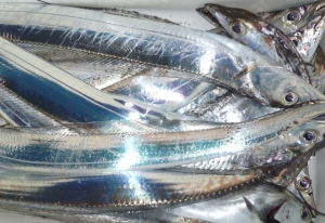 2014-12-03s1P1010233