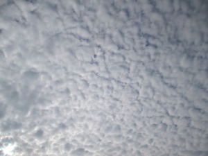 201412-10pa,fkd 013ey