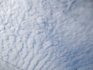 201412-10pa,fkd 0196tu