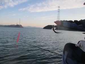 201412-15ofpbjnkm, 010fhb