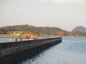 201412-15ofpbjnkm, 016jk