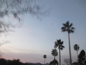 2014-1-3etuyjdr 00768te