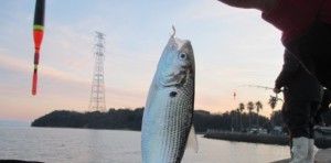 2014-1-3etuyjdr 017sreu