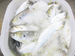 2014-1-3etuyjdr 032dgh