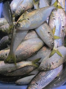 2014-1-3etuyjdr 034wty