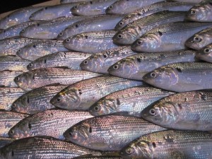 2014-1-3etuyjdr 044qy