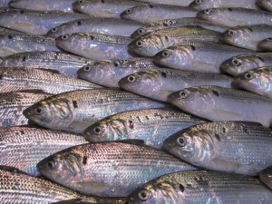 2014-1-3etuyjdr 045srg