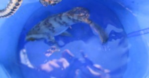 2015-1-18olphdknbvfc 011o1