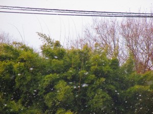 2015-1-1ksodcjnekdjfhjfejhl 002j