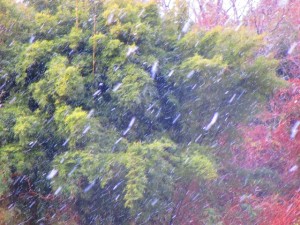 2015-1-1ksodcjnekdjfhjfejhl 003frg