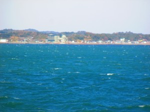 2015-1-1ksodcjnekdjfhjfejhl 007shj