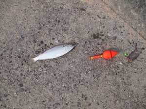 2015-1-2okg 031hgfjd