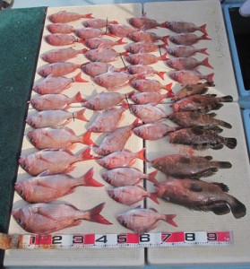 2015-1-3podebjfkm 00727gh