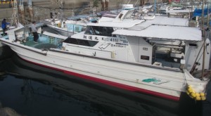 2015-1-3podebjfkm 02635yr