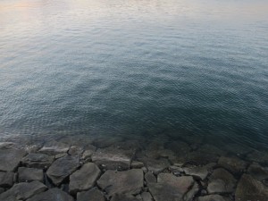 2015-1-8phdujglkg 013ewsu