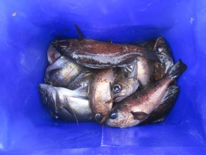 2015-2-15ghlkj 009dsgn