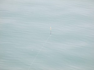 2015-2-15ghlkj 010erty