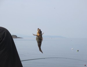 2015-2-15ghlkj 017dsr