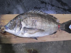 2015-2-2POJRHFGBV 001R6U