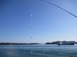 20152-14jhbged 005gvcx