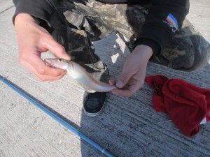 20152-14jhbged 009edth