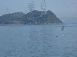 2015-03-17-qp2P1010932