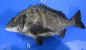 20105-04-14-poiu02003