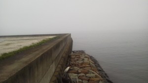 2015-4-15-ooyano-turiba-145984