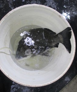 2015-05-11-oioio03001