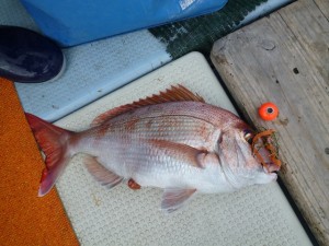 2015-05-14-ura03P1020438