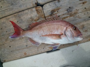 2015-05-14-ura04P1020441