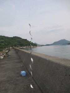 2015-5-14ljhgvf 014vxcb