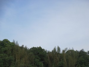 2015-5-14ljhgvf 026fdjhgd