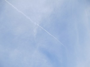 2015-5-14ljhgvf 0274tur