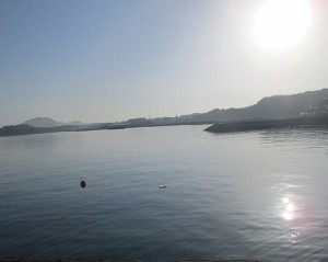 20155-1jgfh 002dsftjy